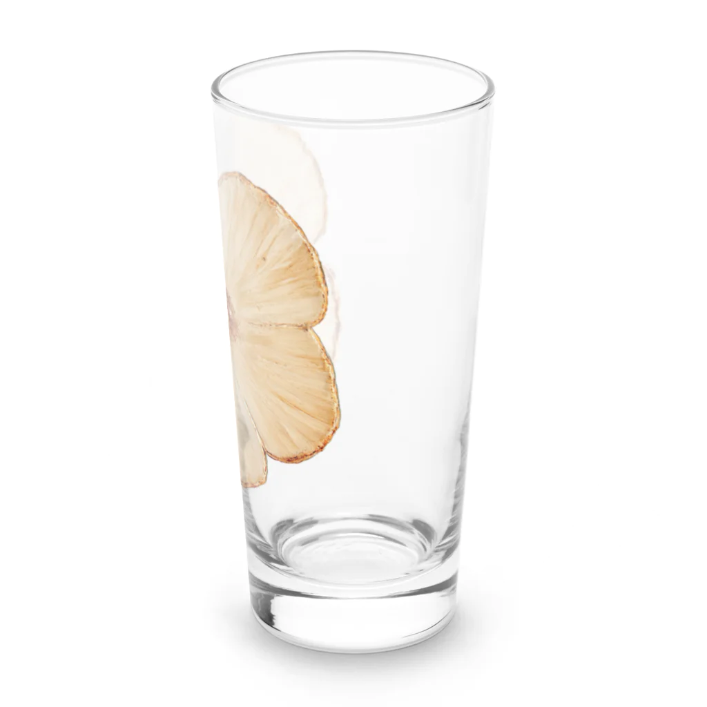 eclat-misaのflower series Long Sized Water Glass :right