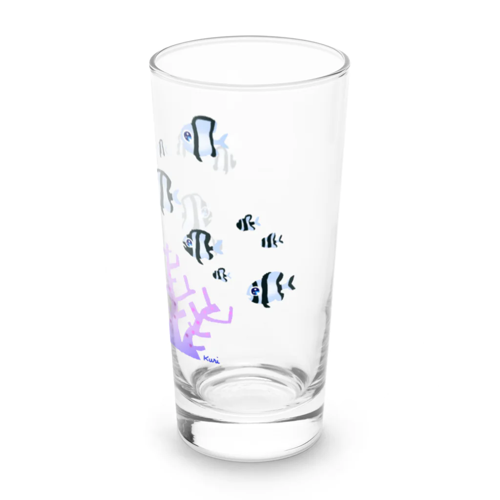 栗坊屋のいろいろリュウキュウスズメダイ Long Sized Water Glass :right