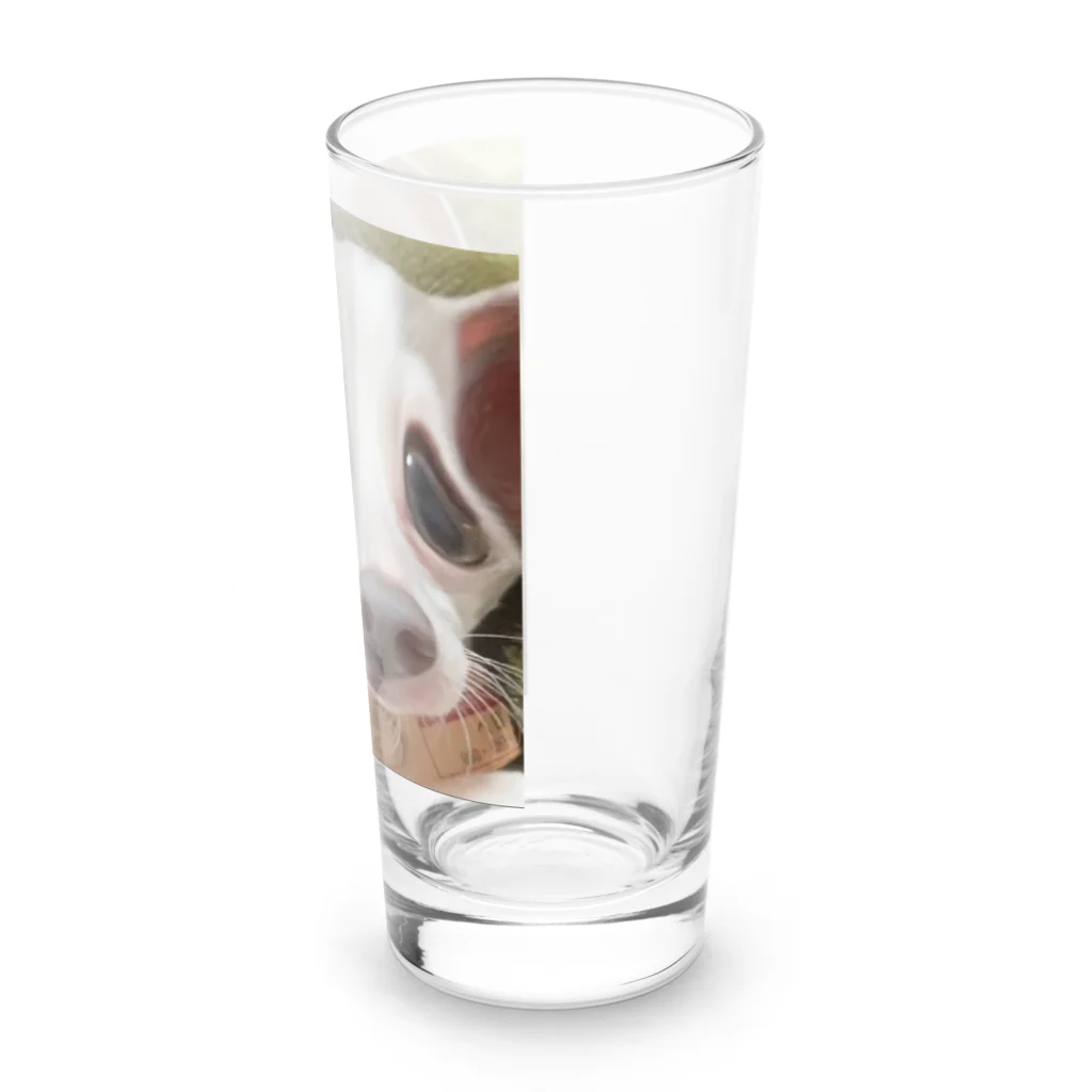 こはちのスピってる犬  Long Sized Water Glass :right