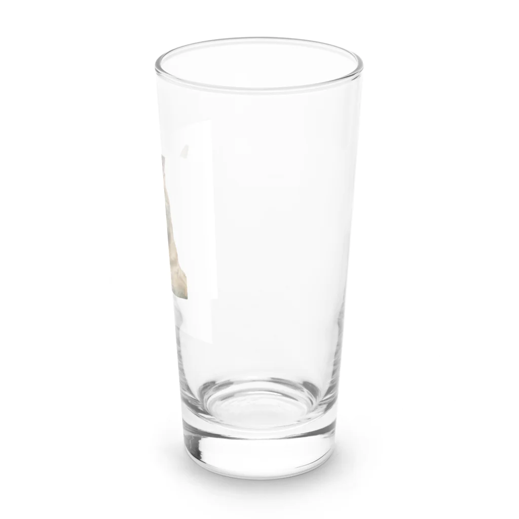 kikaku の猫ごじら Long Sized Water Glass :right