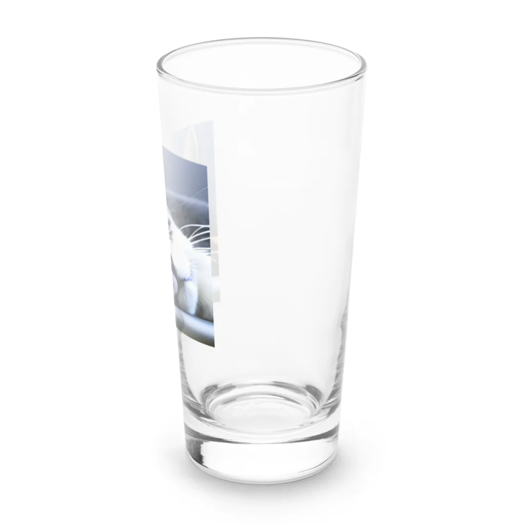 HYUGOの寝顔ドアップのキュートな猫 Long Sized Water Glass :right