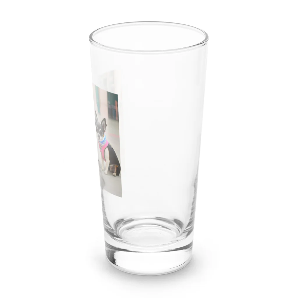 チワワ愛好家ショップのラブリーナチワワトリオの冒険 Long Sized Water Glass :right