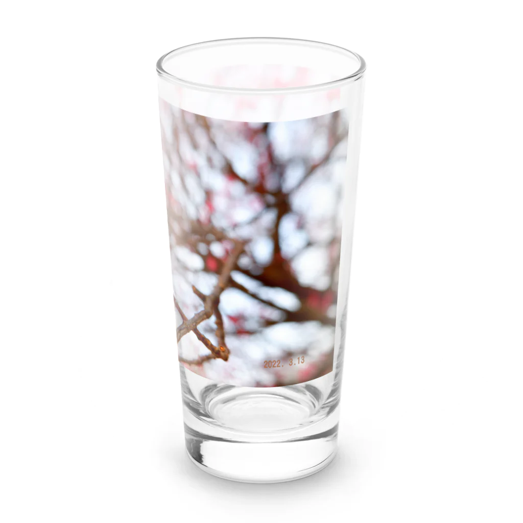dandelionの紅梅 Long Sized Water Glass :right