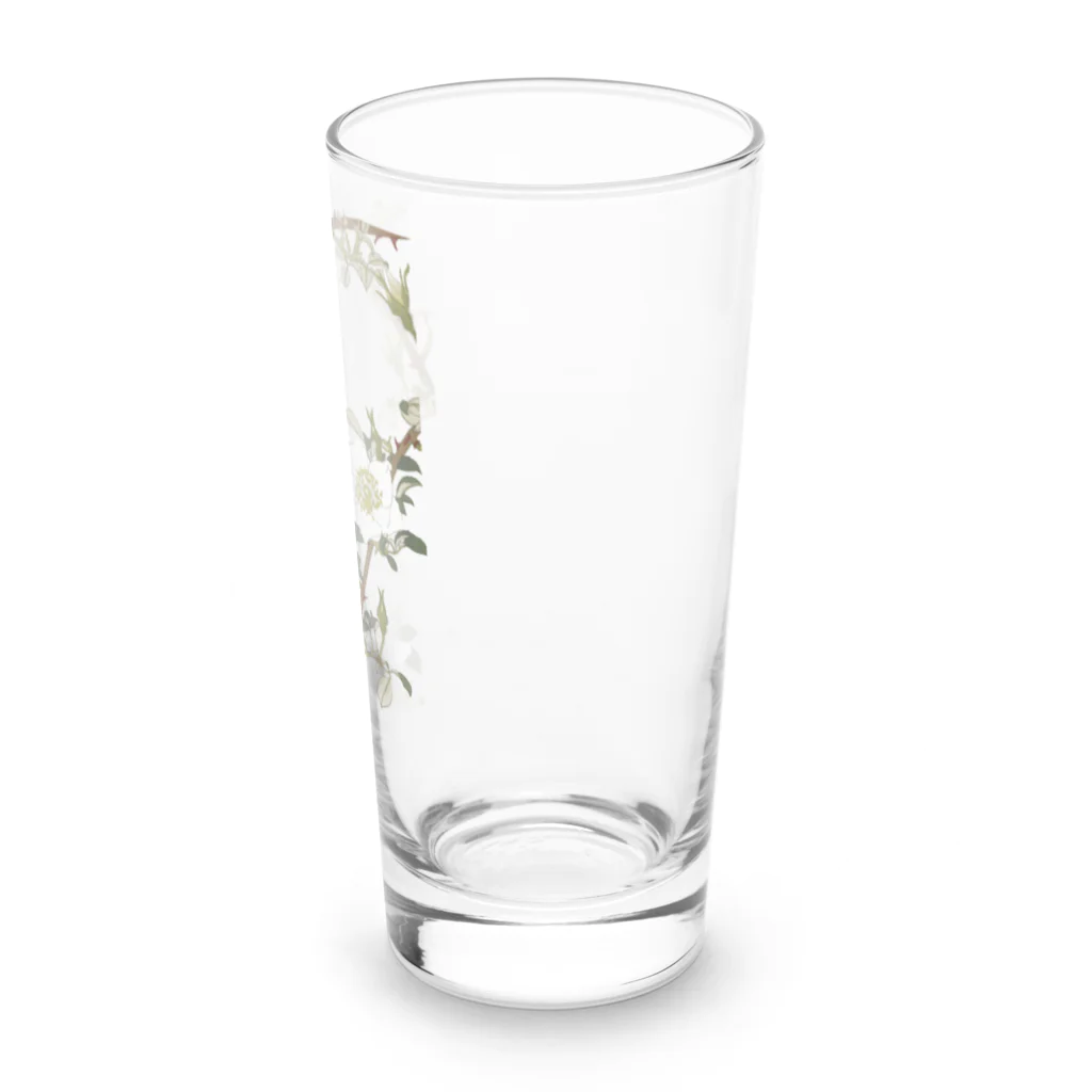 sachiko_goodsのなにはいばら Long Sized Water Glass :right