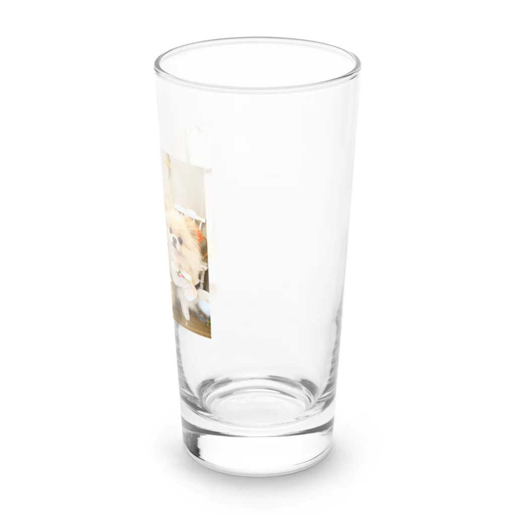3pomeranian-leo-house　グッズショップのPomeranianlovers　ポメラニアン Long Sized Water Glass :right
