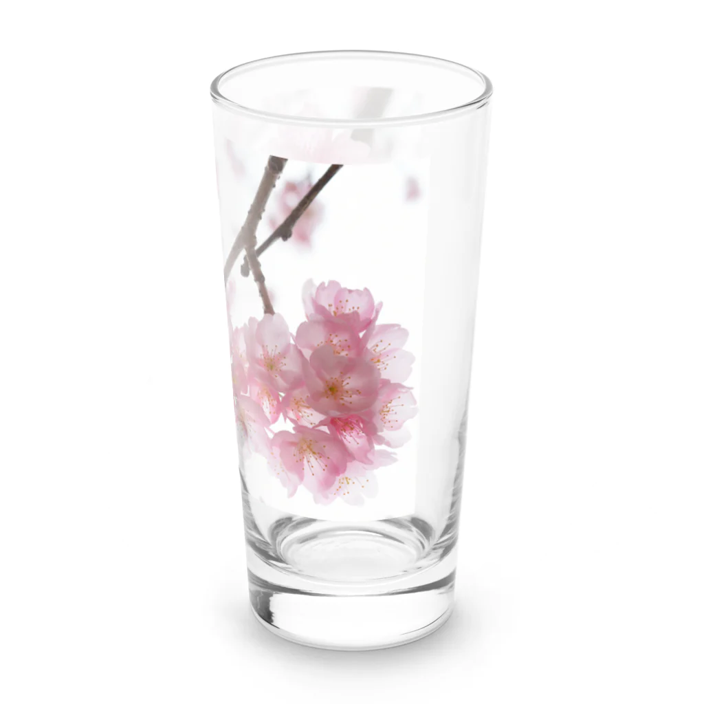 I miss you の河津桜満開 Long Sized Water Glass :right