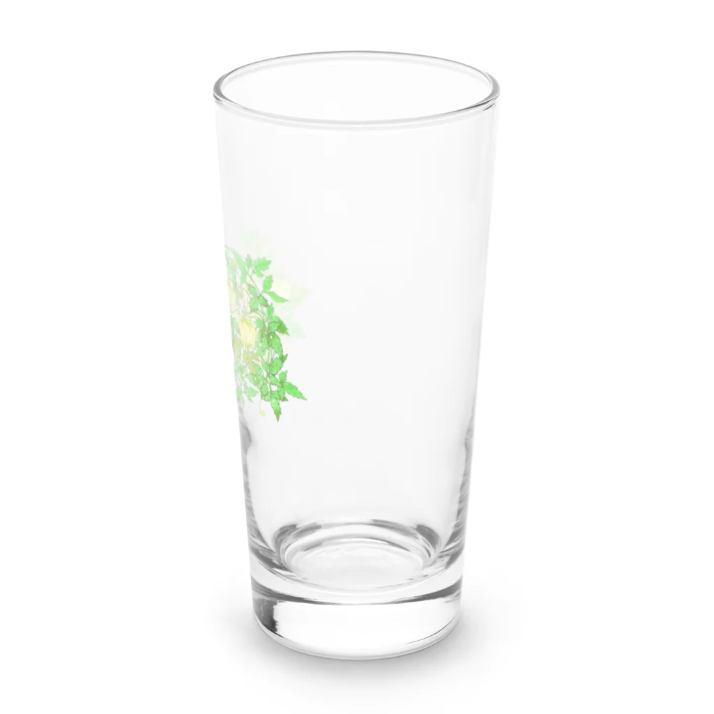 【コザクラインコ】オピーチョのお店の9月のオピーチョ【コザクラインコ】 Long Sized Water Glass :right