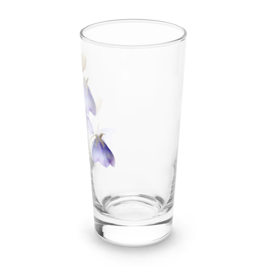 Atelier Petrichor Forestのキキョウ Chinese bellflower Long Sized Water Glass :right