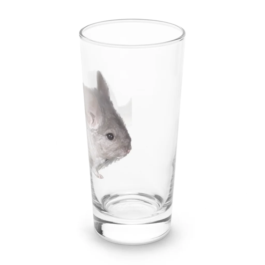 アニマルTAILのチンチラの望君 Long Sized Water Glass :right