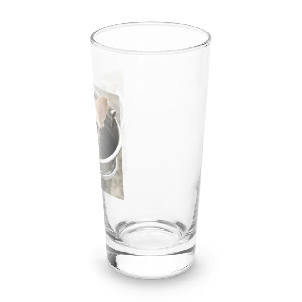 xdaのバケツに入ったチワワ Long Sized Water Glass :right