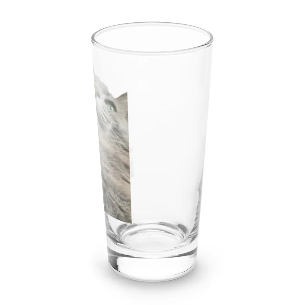 グレージュ猫ロッタン🐈‍⬛のよそ見ロッタン Long Sized Water Glass :right