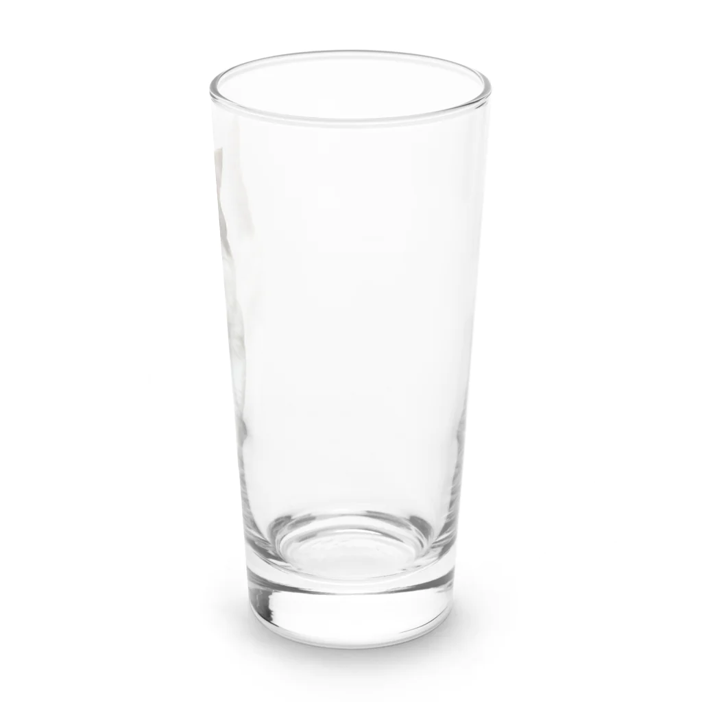 Diamondの猫のダイヤ Long Sized Water Glass :right