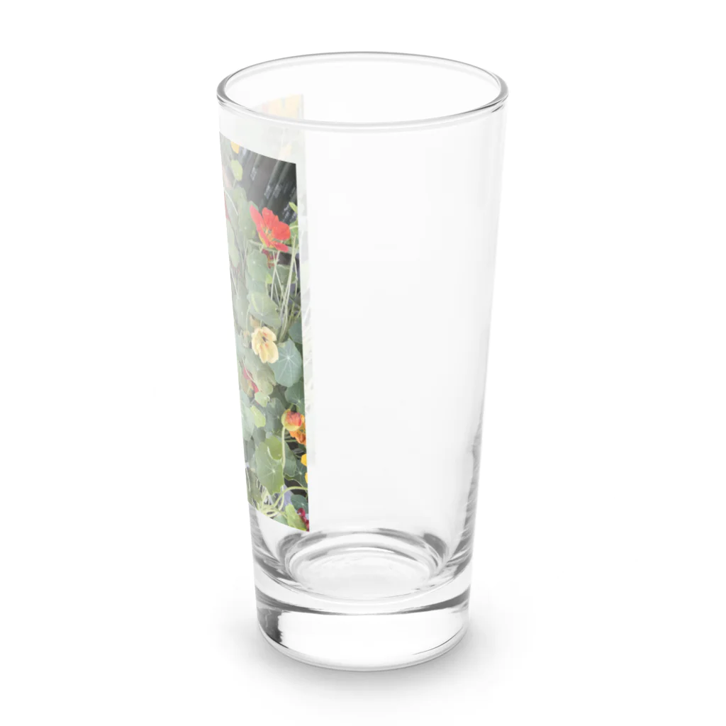 ★華霊KAREI★のお花畑 Long Sized Water Glass :right