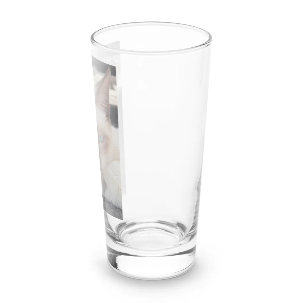 Makoto_Kawano Designの悪そうなのにカワイイ猫ちゃん Long Sized Water Glass :right
