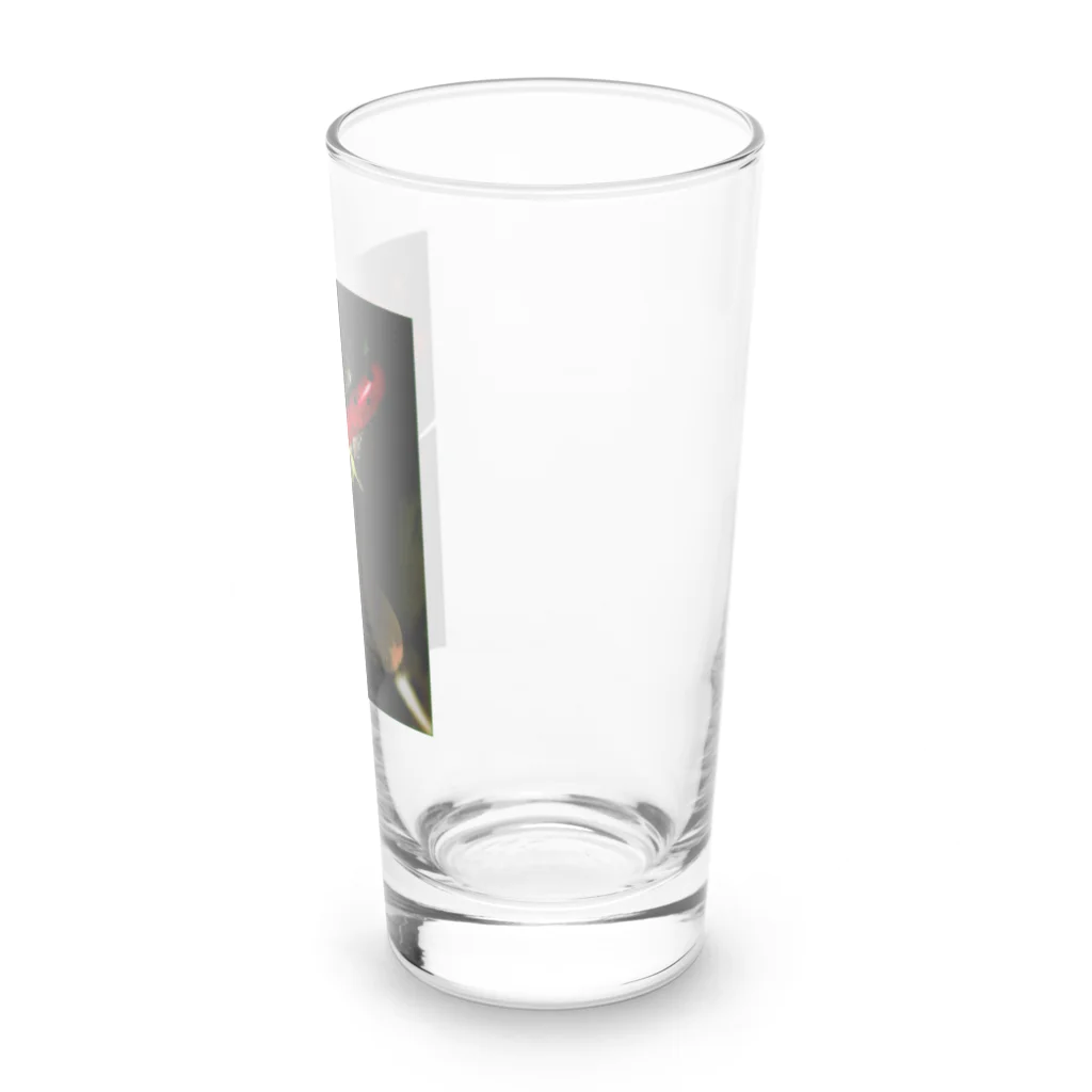 パキポキさんのGARDENING LIFE Long Sized Water Glass :right