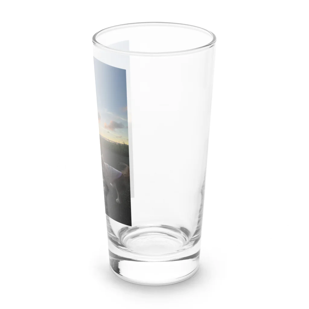 保護犬ミミの保護犬ミミ　インスタ使用画像 Long Sized Water Glass :right