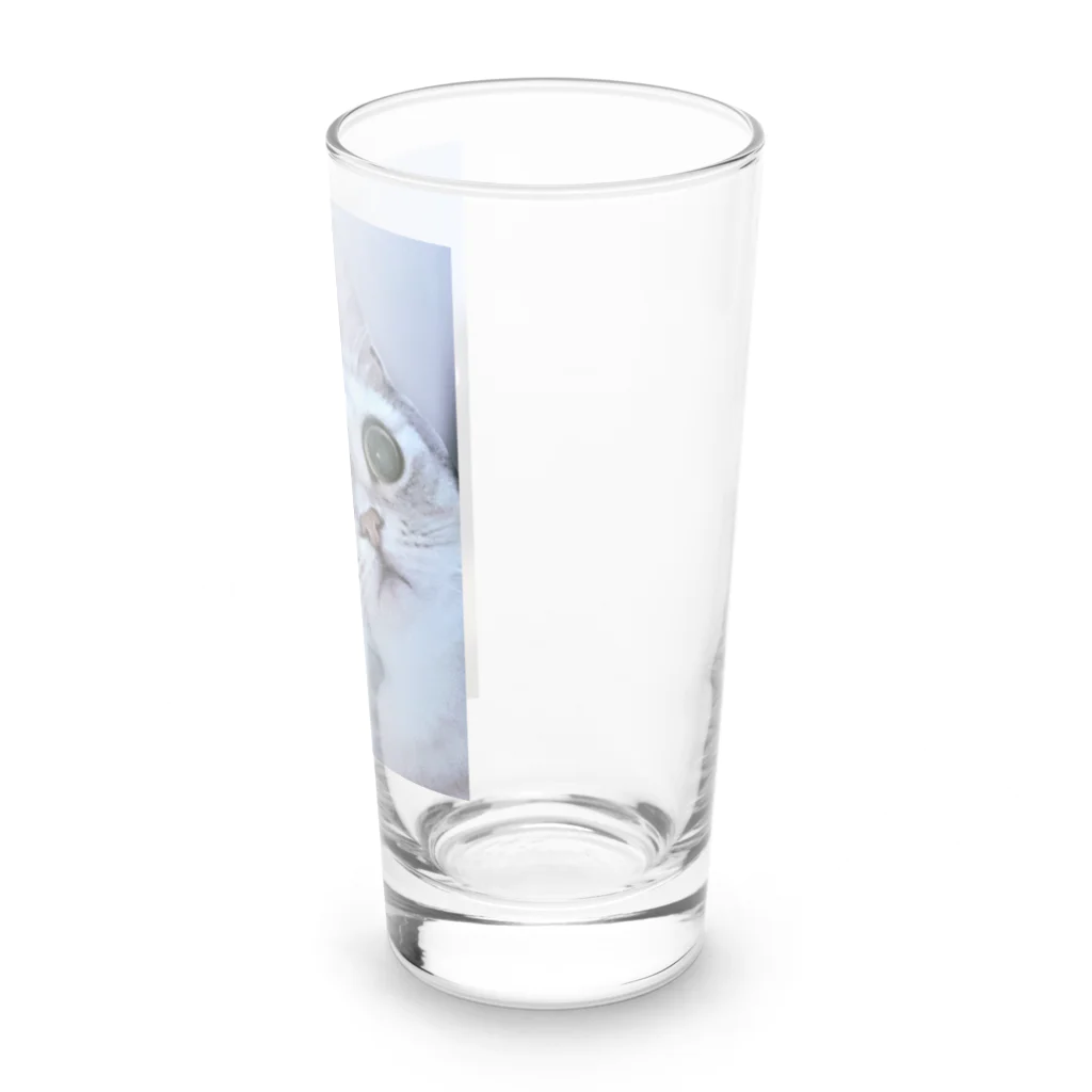 レオロンSHOPの猫の名前はレオ Long Sized Water Glass :right