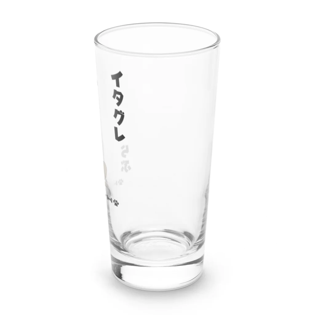 わんだーぱうだーのイタグレらぶ Long Sized Water Glass :right