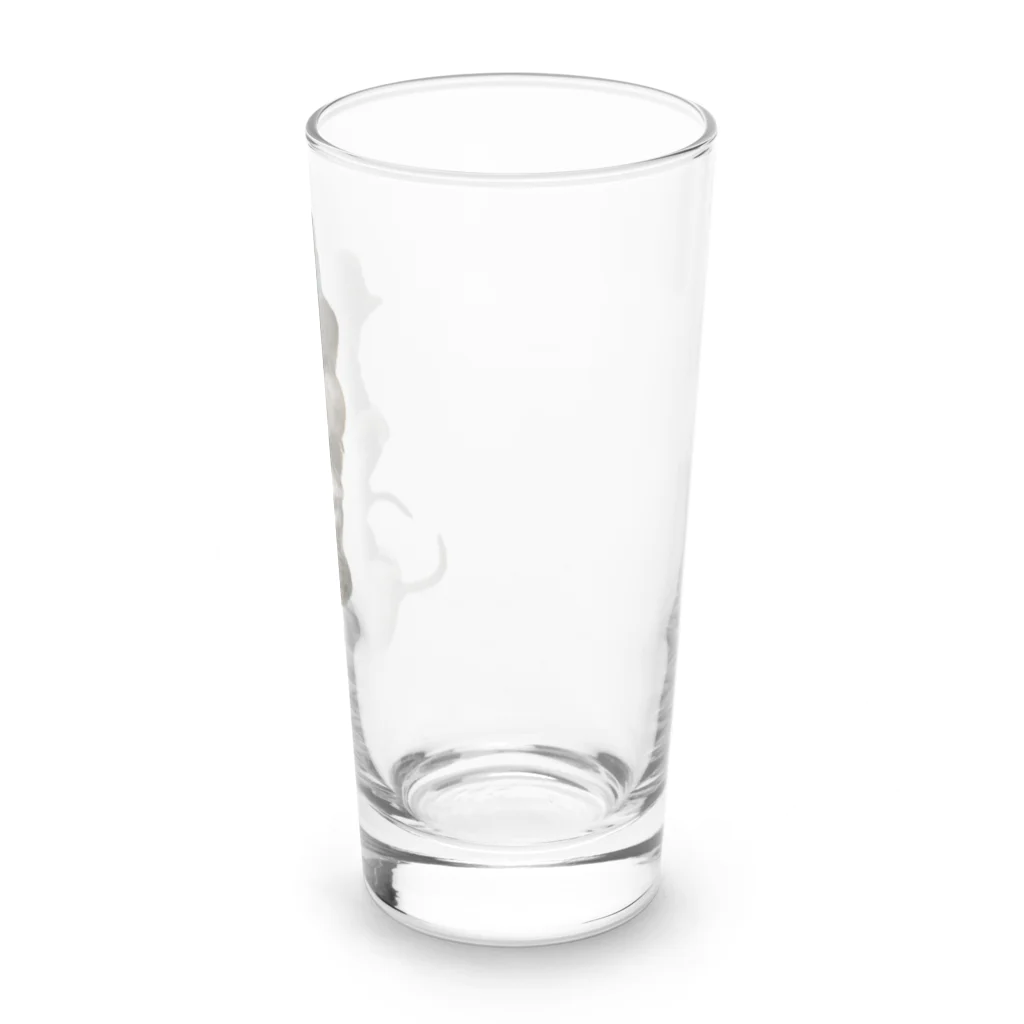 アニマルTAILのデグー兄弟 Long Sized Water Glass :right