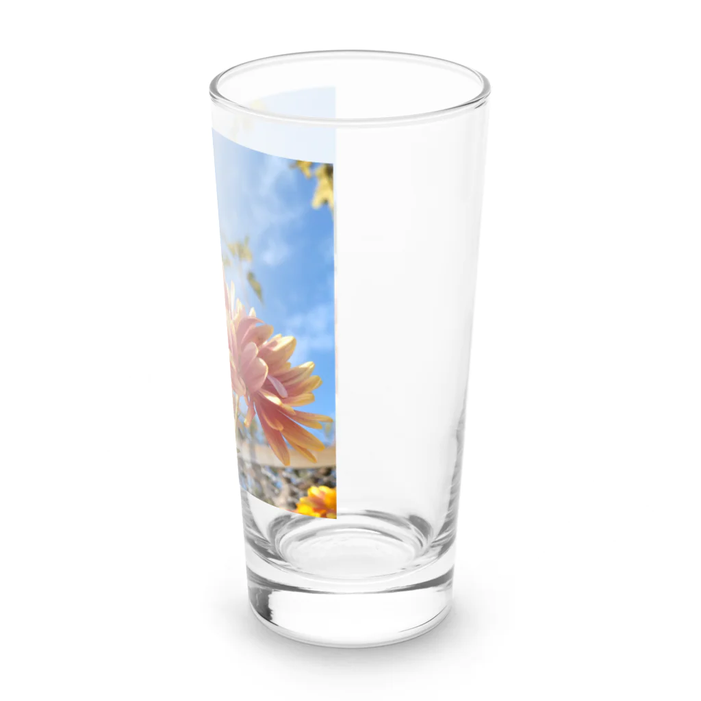 MMの青空に映えて Long Sized Water Glass :right