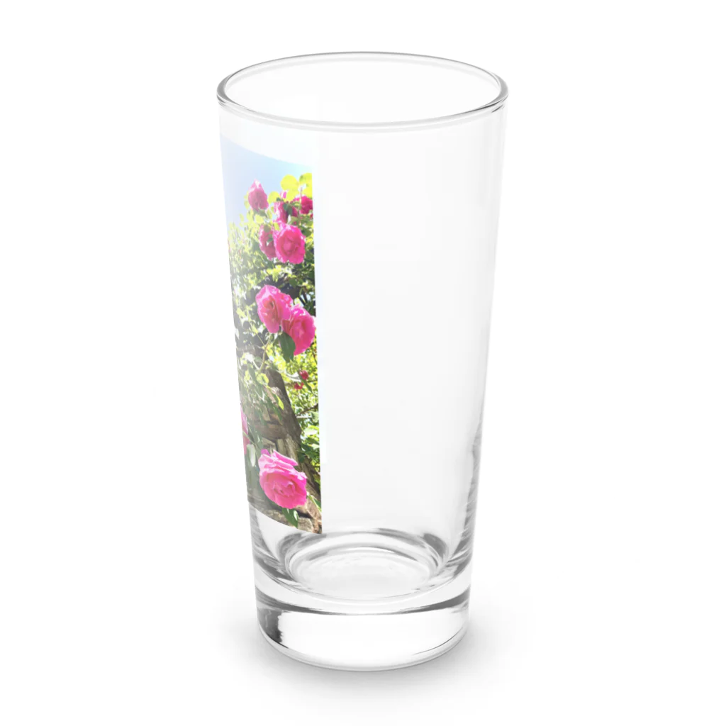 maikoのショップの薔薇と青空 Long Sized Water Glass :right