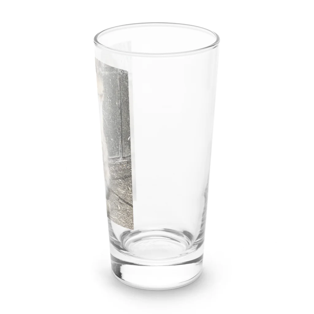 Uターン柴の立ち寝ネコ Long Sized Water Glass :right