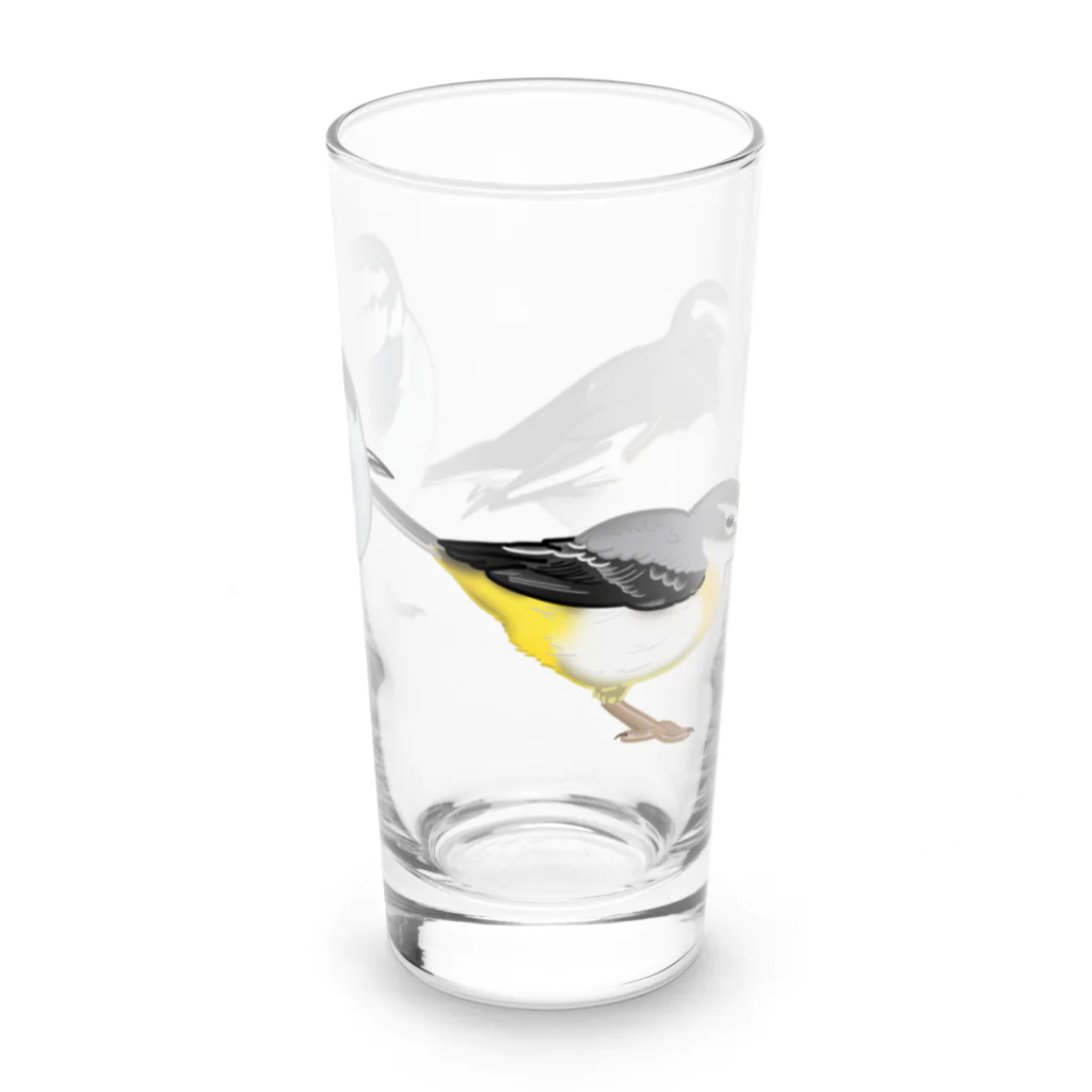 やちよ｜リアル鳥イラストの鶺鴒さん Long Sized Water Glass :right