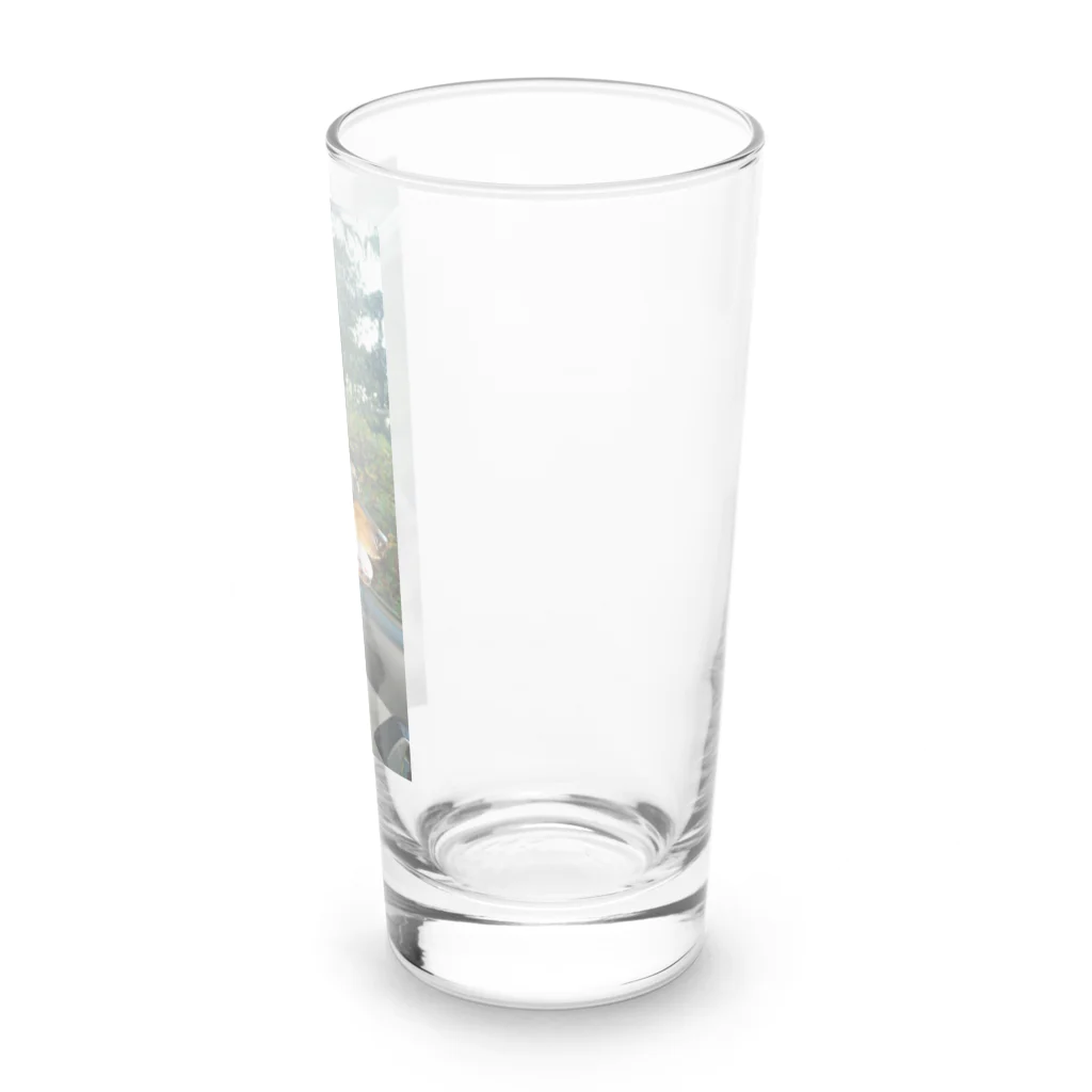 ミニピンショップのミニチュアピンシャーオリジナルグッズ第一弾 Long Sized Water Glass :right