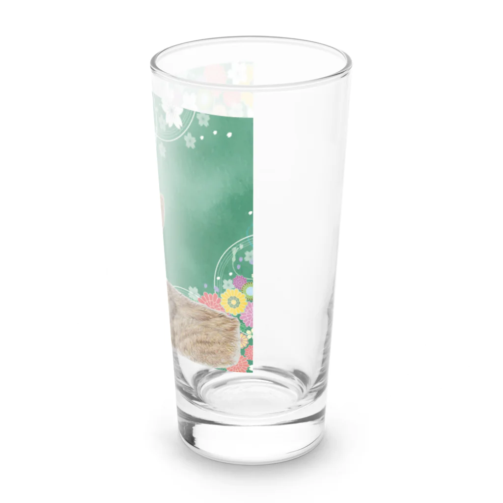 ひなみるふうてんぽん！の春爛漫、キジ白くん Long Sized Water Glass :right