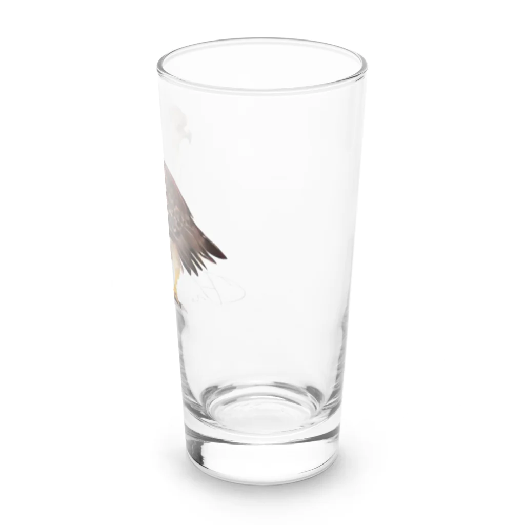 姫とすずり。の自由の軌跡 Long Sized Water Glass :right