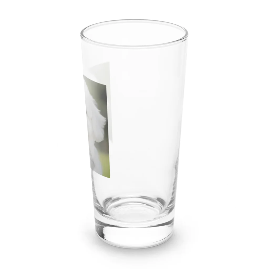 mofu-landの白もふ Long Sized Water Glass :right