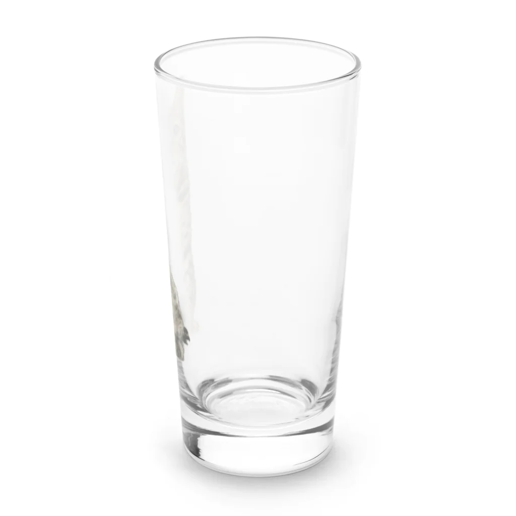 KYONDAのごにゃモデル Long Sized Water Glass :right