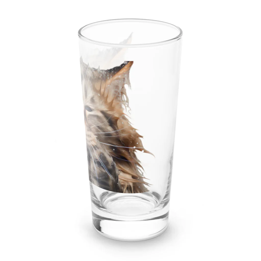 日向ぼっこのずぶ濡れ猫 Long Sized Water Glass :right