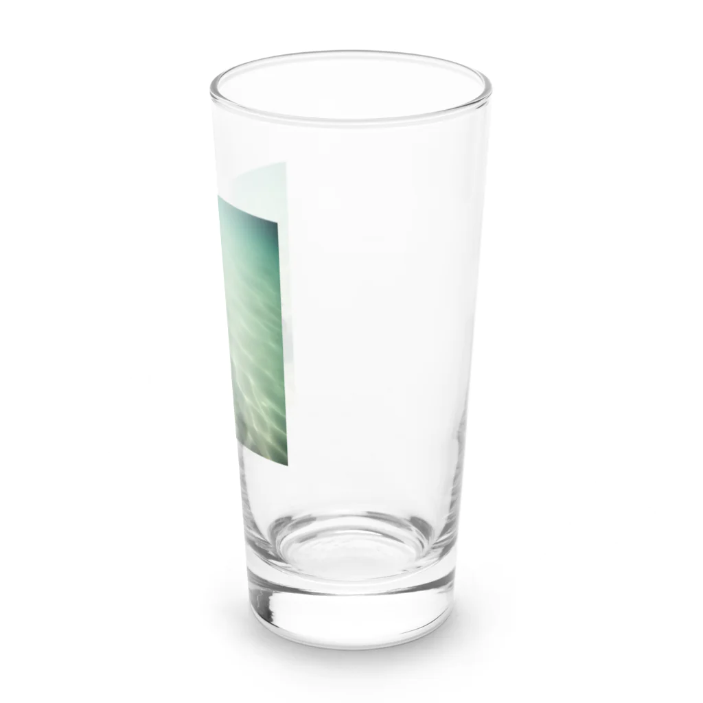 hinn-ketuの２、明日へ向かって泳ぐカメ Long Sized Water Glass :right