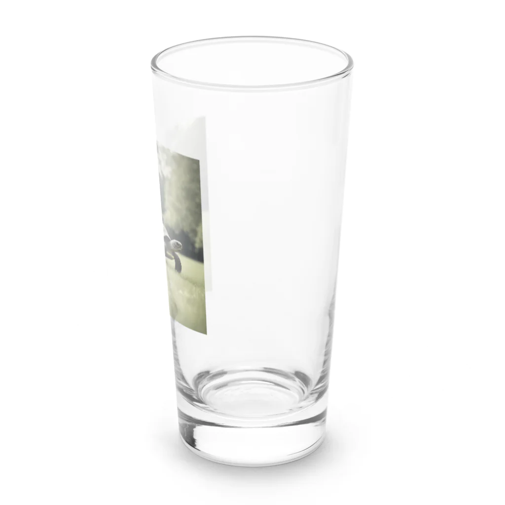 hinn-ketuの４、カメのお散歩 Long Sized Water Glass :right