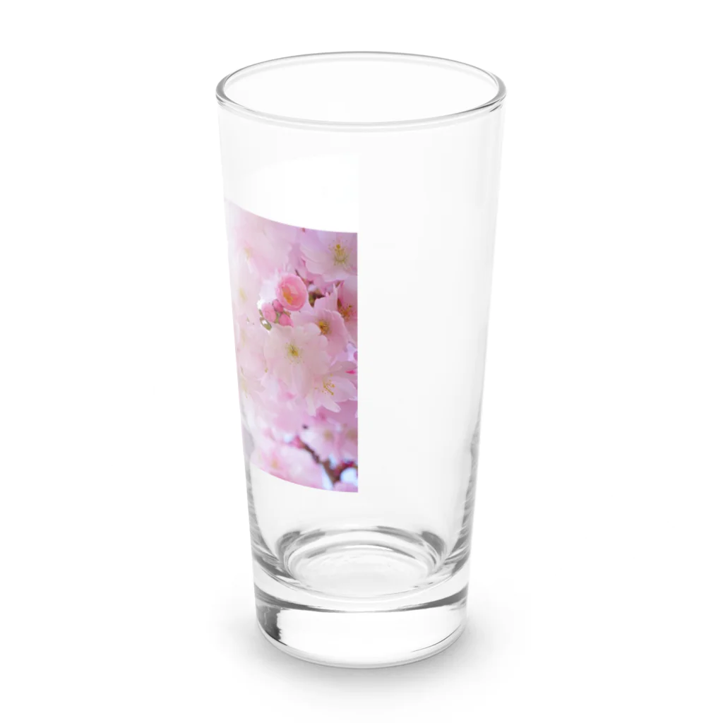 SHIMIZUの桜 Long Sized Water Glass :right