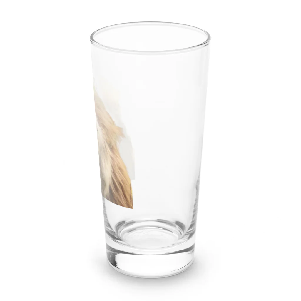 mayura_photoの眠そうなオスライオン Long Sized Water Glass :right