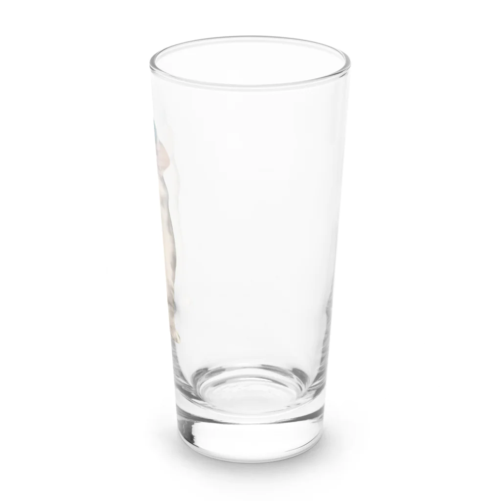猫ミームグッズの【猫ミーム】DancingCat Long Sized Water Glass :right