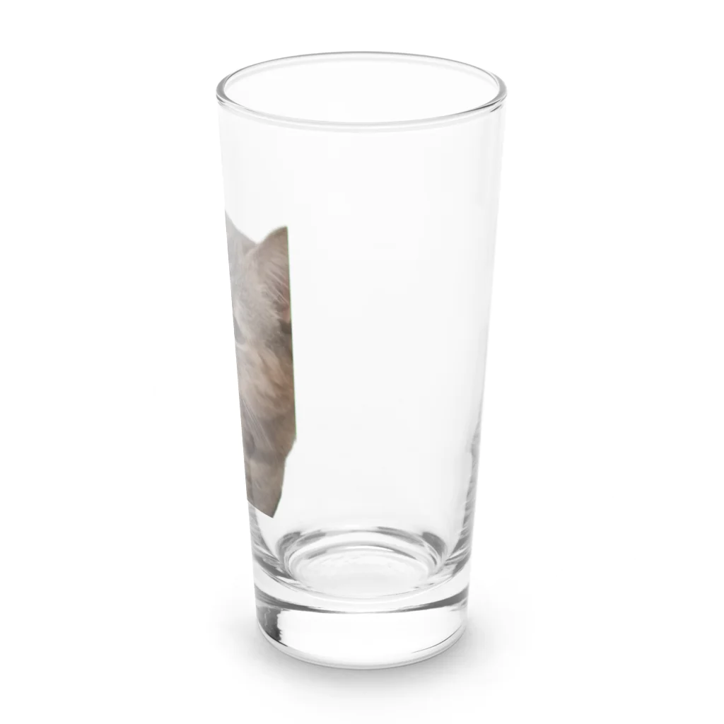 猫ミームグッズの【猫ミーム】叱られる猫 Long Sized Water Glass :right