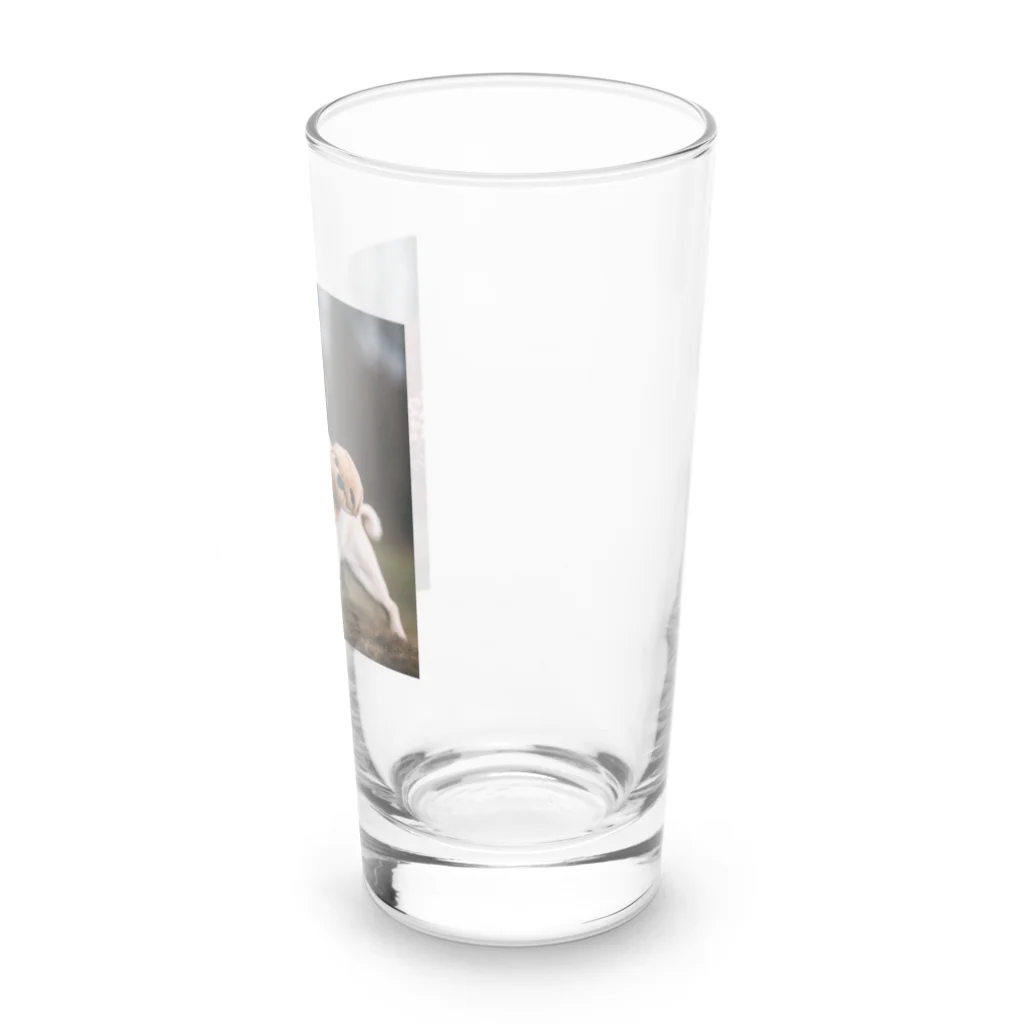 ODDS-345のぬいぐるみと格闘するパグ Long Sized Water Glass :right