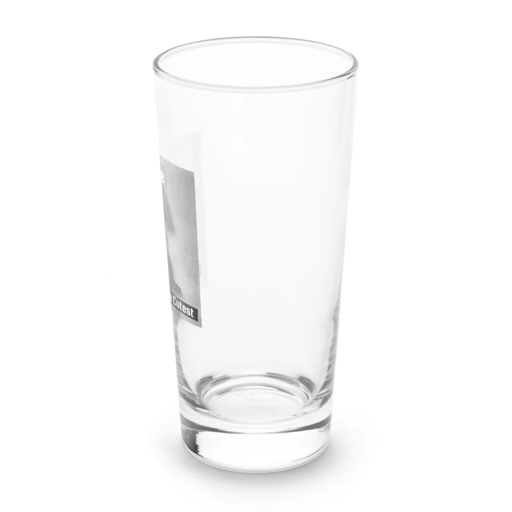 ODDS-345のえーなんで　黒パグ Long Sized Water Glass :right