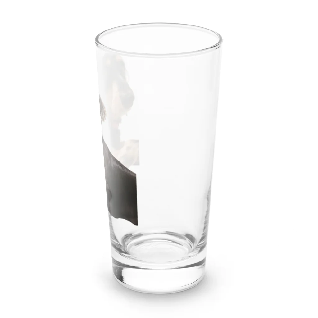 MNdaddyのおすましダックスさつきさん Long Sized Water Glass :right