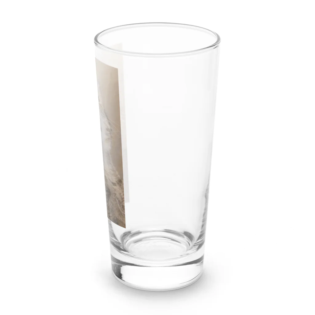 Ray-Savannahのぺろりんかるかる Long Sized Water Glass :right