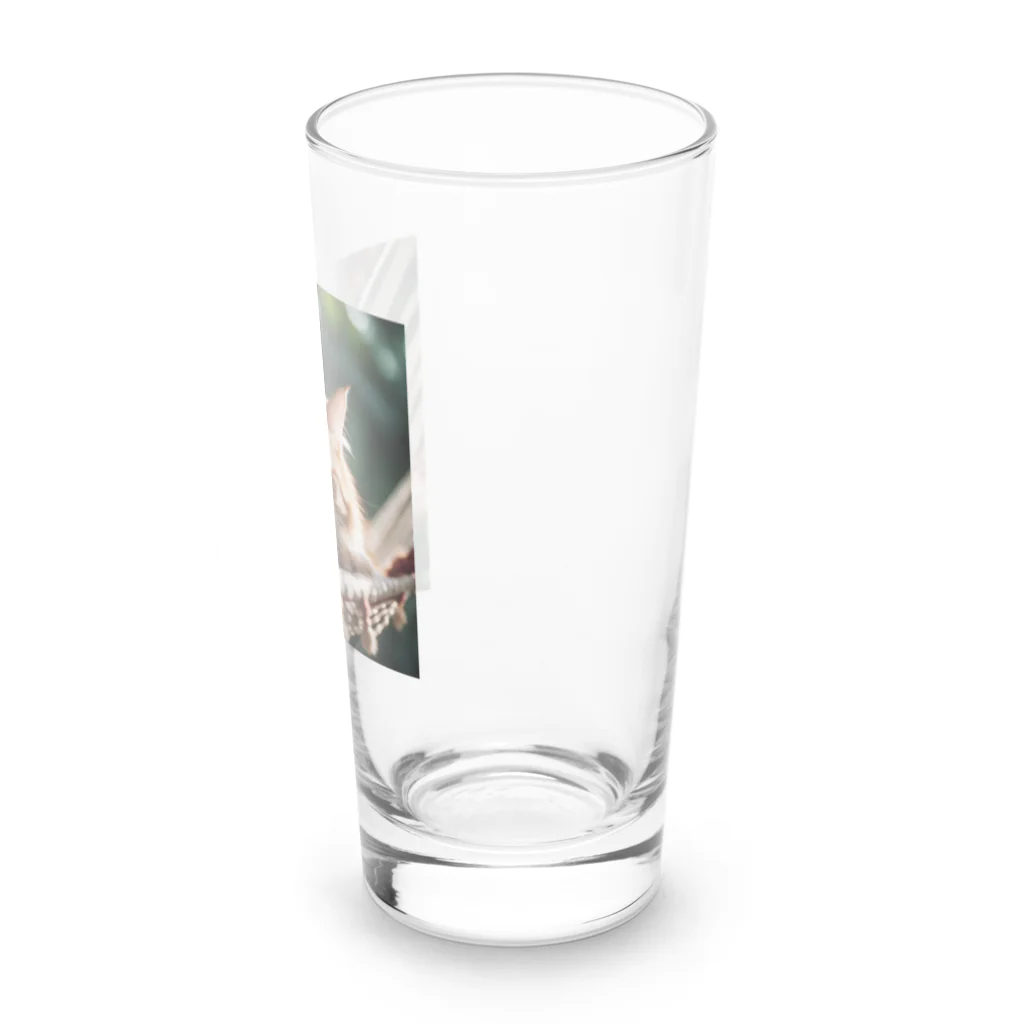 KKaの居眠りニャンコ Long Sized Water Glass :right