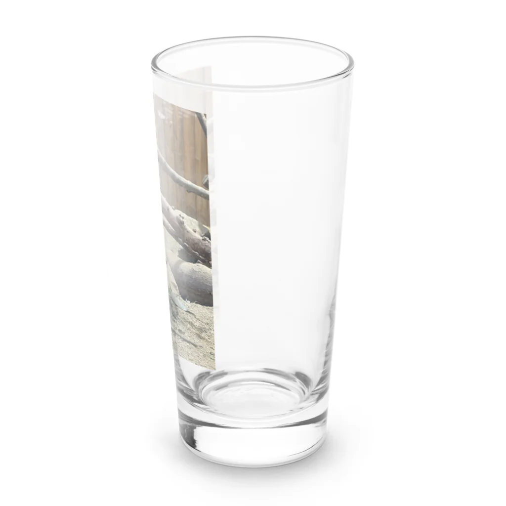 ドリームスケープギャラリーのモグモグ Long Sized Water Glass :right