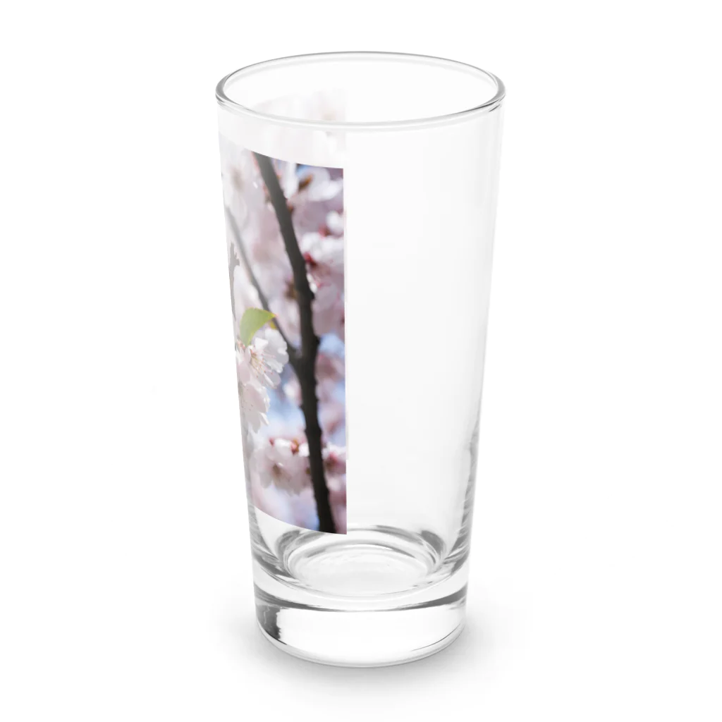 spencerのソメイ Long Sized Water Glass :right