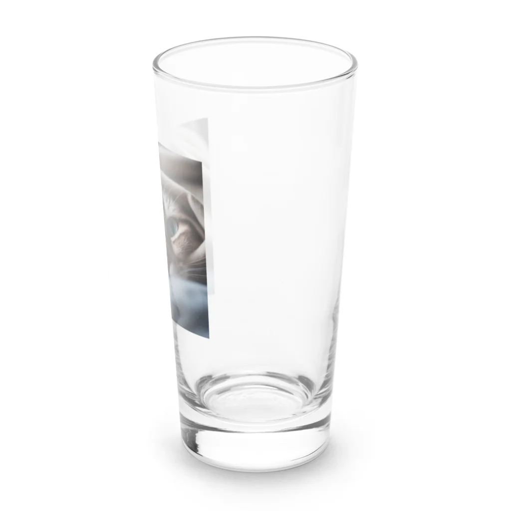 feliceの毛布の下に隠れている猫 Long Sized Water Glass :right