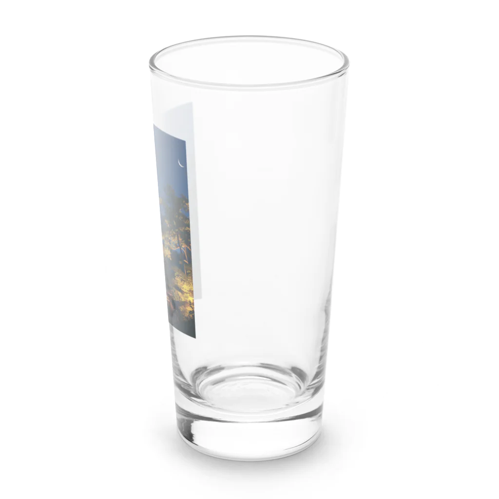 AQUAMETAVERSEの五重塔　なでしこ1478 Long Sized Water Glass :right