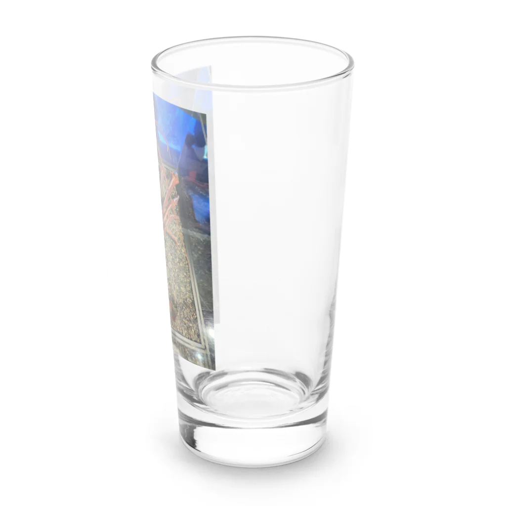 てぃっちゃんの伊勢海老 Long Sized Water Glass :right