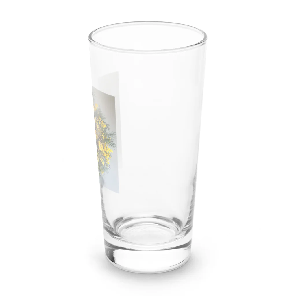 AQUAMETAVERSEのミモザの花をりース　なでしこ1478 Long Sized Water Glass :right